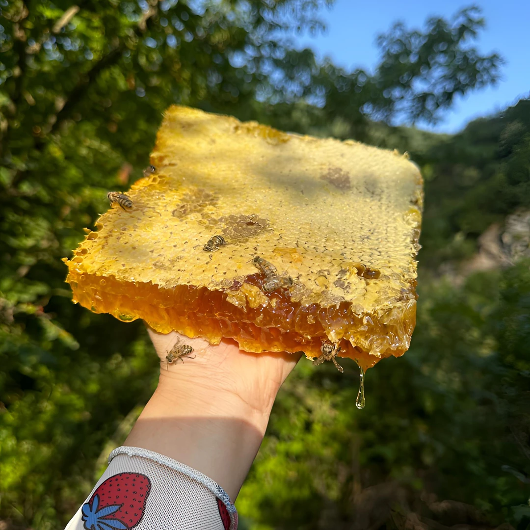 秦岭深山野生土蜂蜜 巢蜜  500g包邮