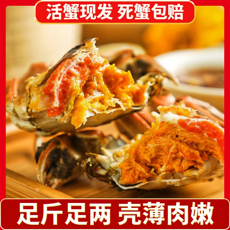 【活蟹现发】全母大闸蟹 2.3-2.5两 6+2到手8只手工挑选江苏发货
