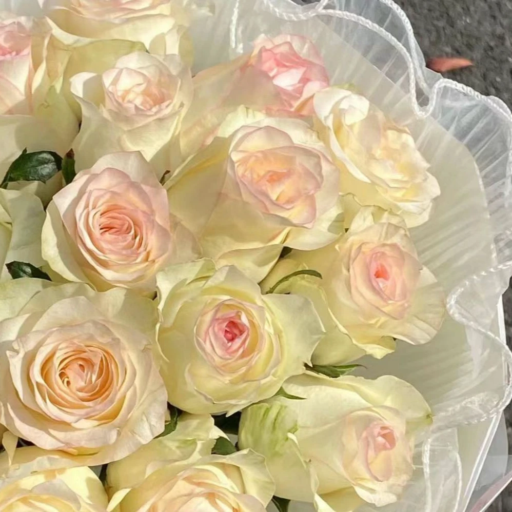 【甜蜜艾莎玫瑰】鲜花任意2单以上包邮升级空运或冷链 云南鲜花