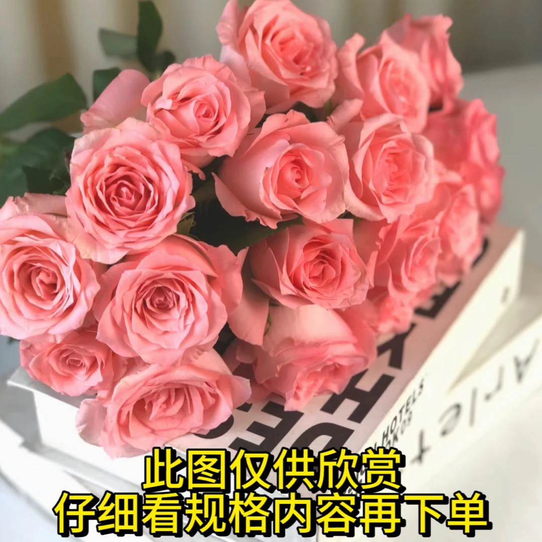 【戴安娜玫瑰】一单也包邮 鲜花任意2单以上升级空运或冷链 鲜花
