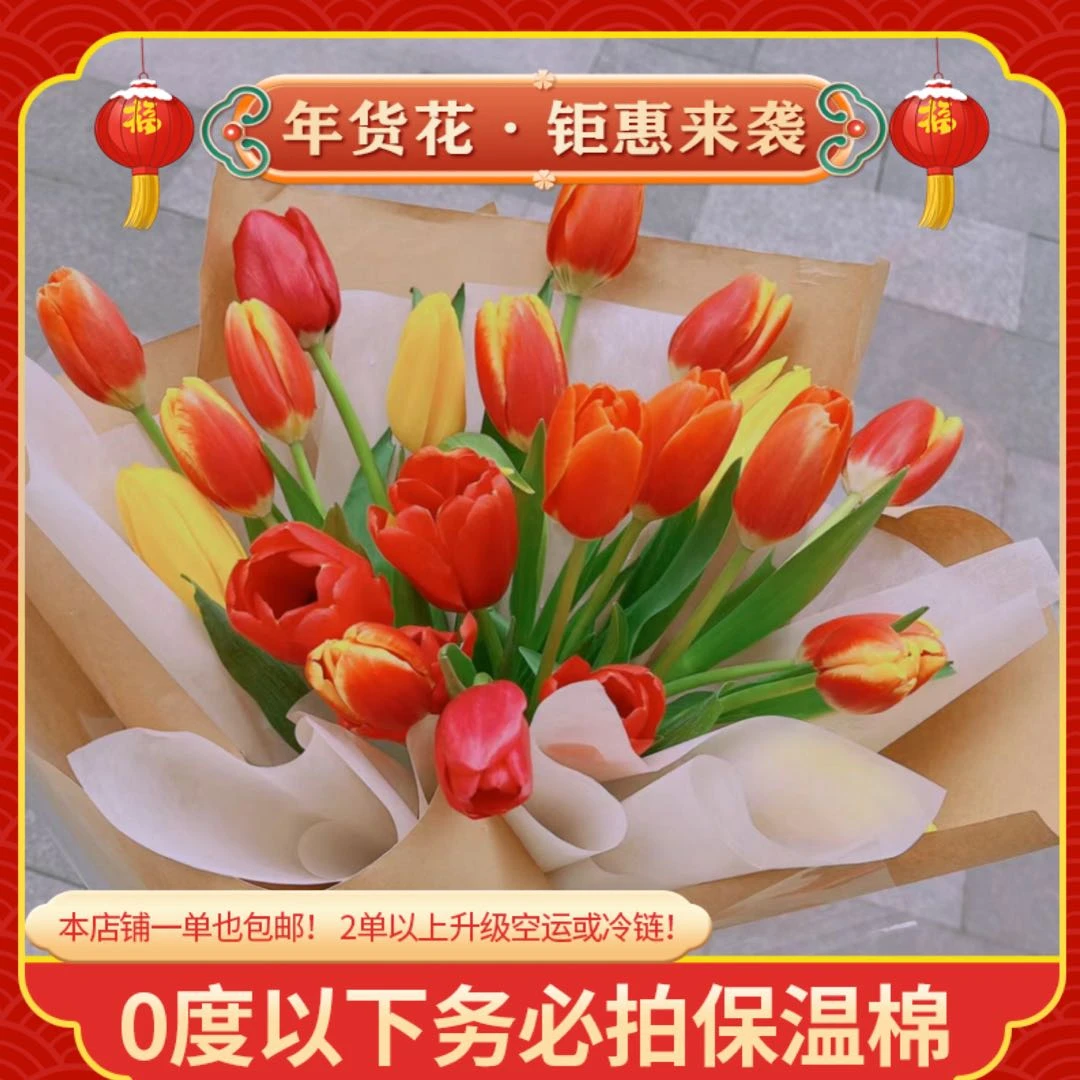 【不选色郁金香】一单也包邮 鲜花任意2单以上升级空运或冷链 鲜花