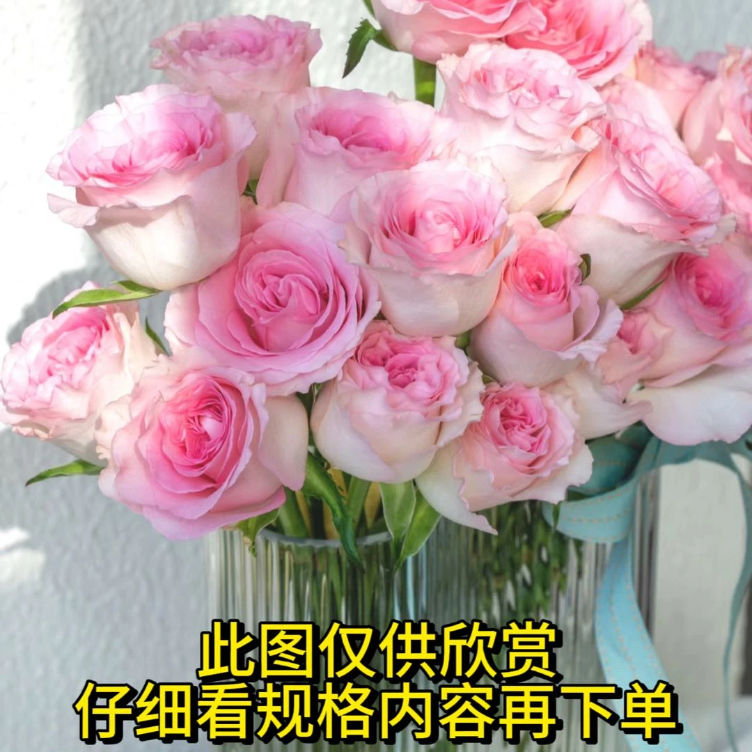 【洛神玫瑰】鲜花任意2单以上包邮 不支持指定快递公司 云南鲜花