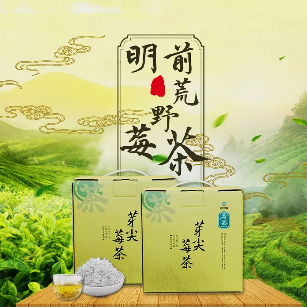 正宗张家界罗塔坪原产地春茶芽尖莓茶高山荒料子250G一盒