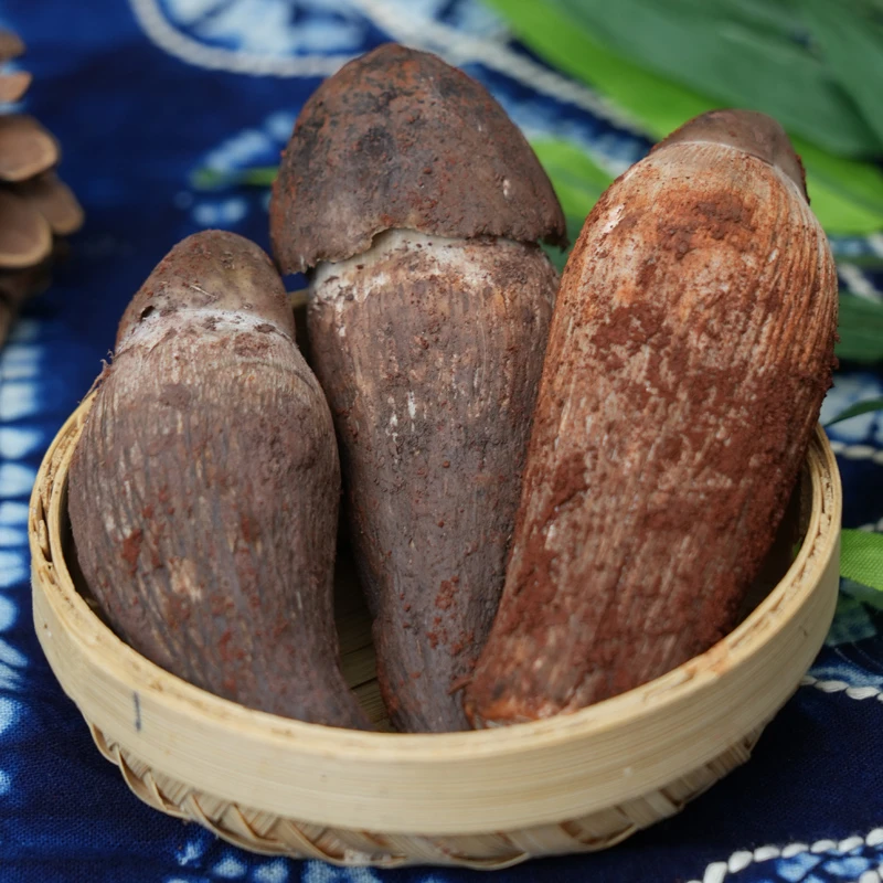 山珍情【现货】云南新鲜食用鸡枞菌野生鸡枞菌火锅煲汤食材顺丰包邮