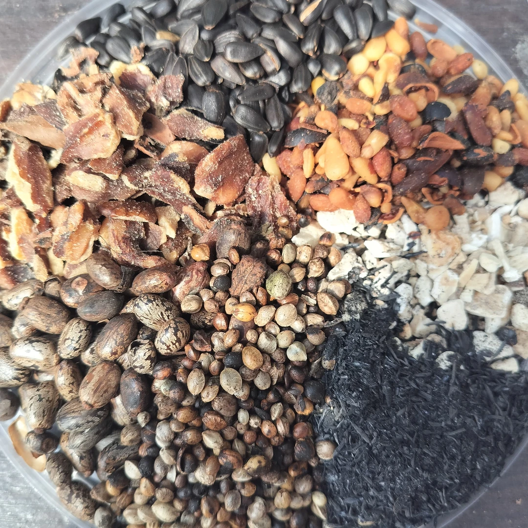 营养土，高配油料，3斤混合包邮