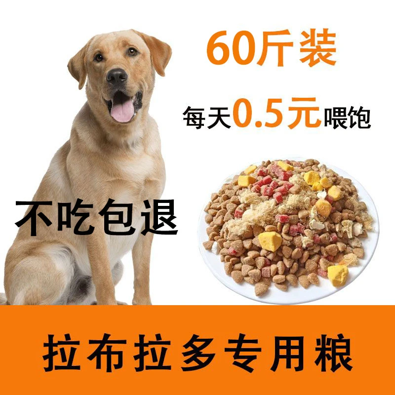 拉布拉多专用狗粮40斤装泰迪比熊柯基博美金通用幼犬冻干营养犬粮