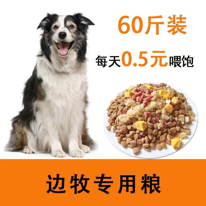 边牧狗粮通用型40斤装泰迪比熊博美小型金毛拉布拉多幼犬专用冻干