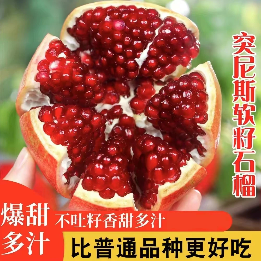 四川会理突尼斯软籽石榴应季水果现摘现发包邮