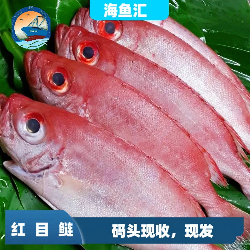 红目鲢 大眼鸡 祥芝港码头直发 顺丰冷链车新鲜到家