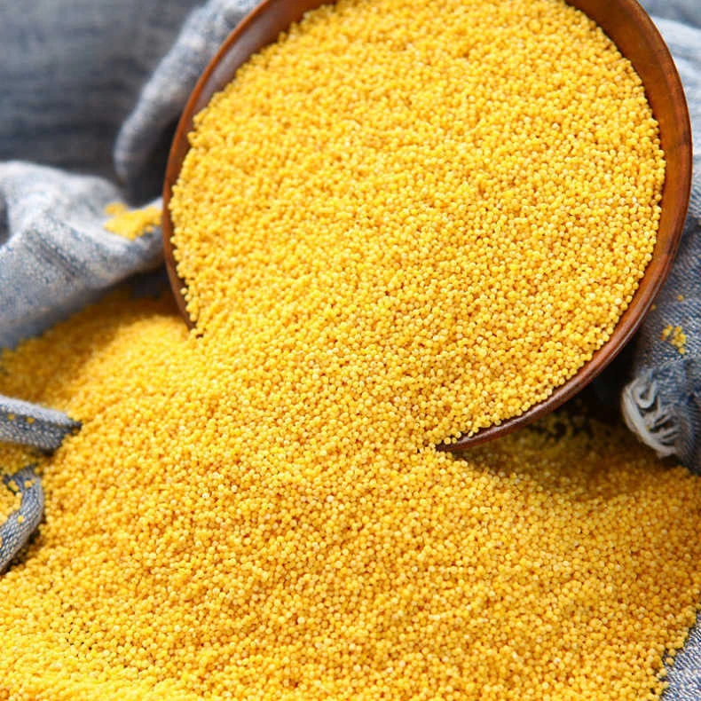 农家现碾小米优质五谷杂粮小米香糯粘稠小米孕妇食用黄小米