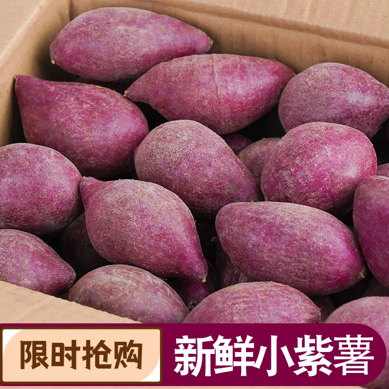 【每人抽送10斤】新鲜紫薯1/10斤紫罗兰红薯现挖紫心蜜薯地瓜蔬菜