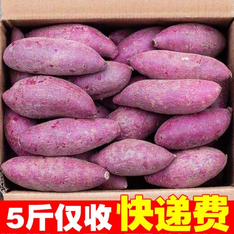 【每人抽送10斤】新鲜紫薯现挖紫罗兰1/10斤红薯紫心蜜薯地瓜蔬菜