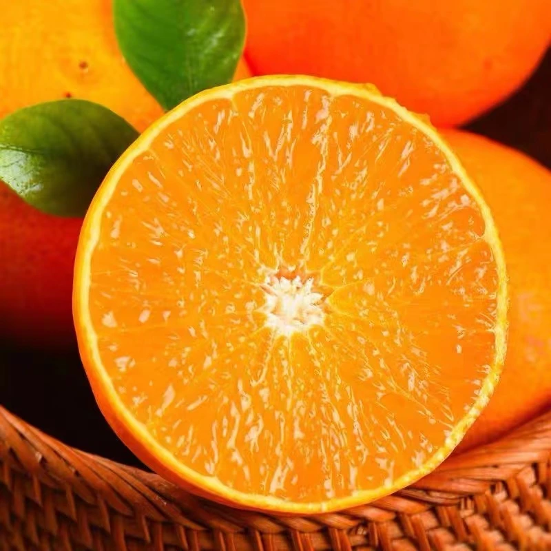 【黄金口感期】四川爱媛38号果冻橙新鲜采摘水果橘子手剥橙子4-8斤