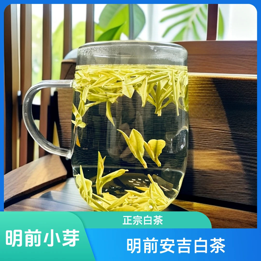明前特级小芽头2024正宗白茶新茶高山采摘送人好茶绿茶兰花果香05