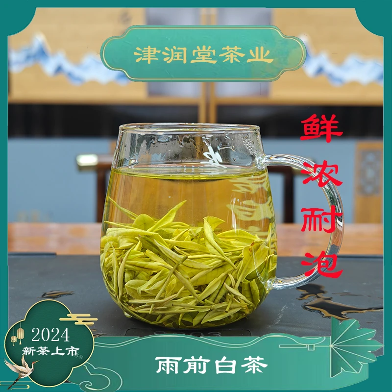 福利正宗高山雨前口粮白茶2024年新茶礼盒装绿茶兰花香Z04