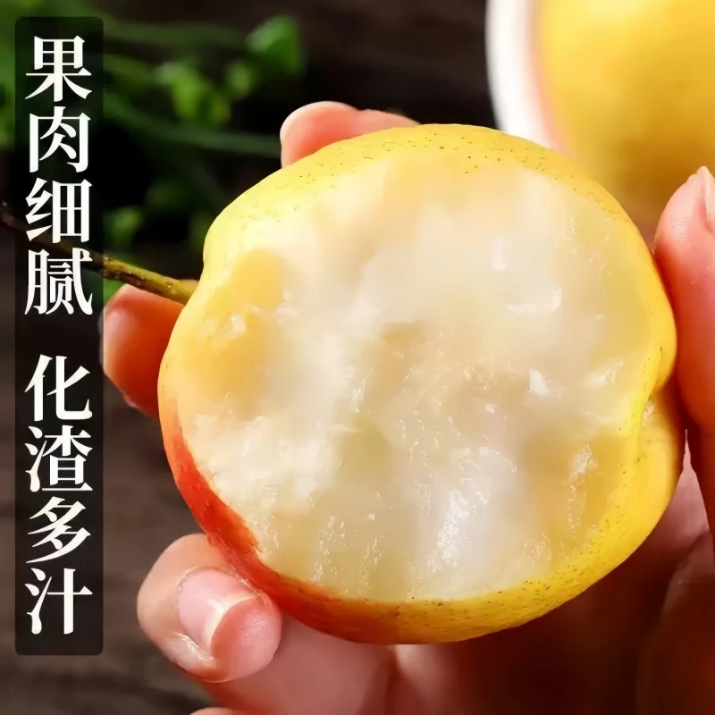 东北特产正宗南果梨鞍山当季新鲜水果大果农户香水梨当季薄皮整箱