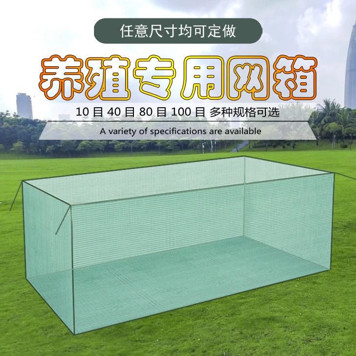 10目加厚网箱养鱼网箱育苗泥鳅黄鳝鱼苗网箱龙虾青蛙专用养殖网箱