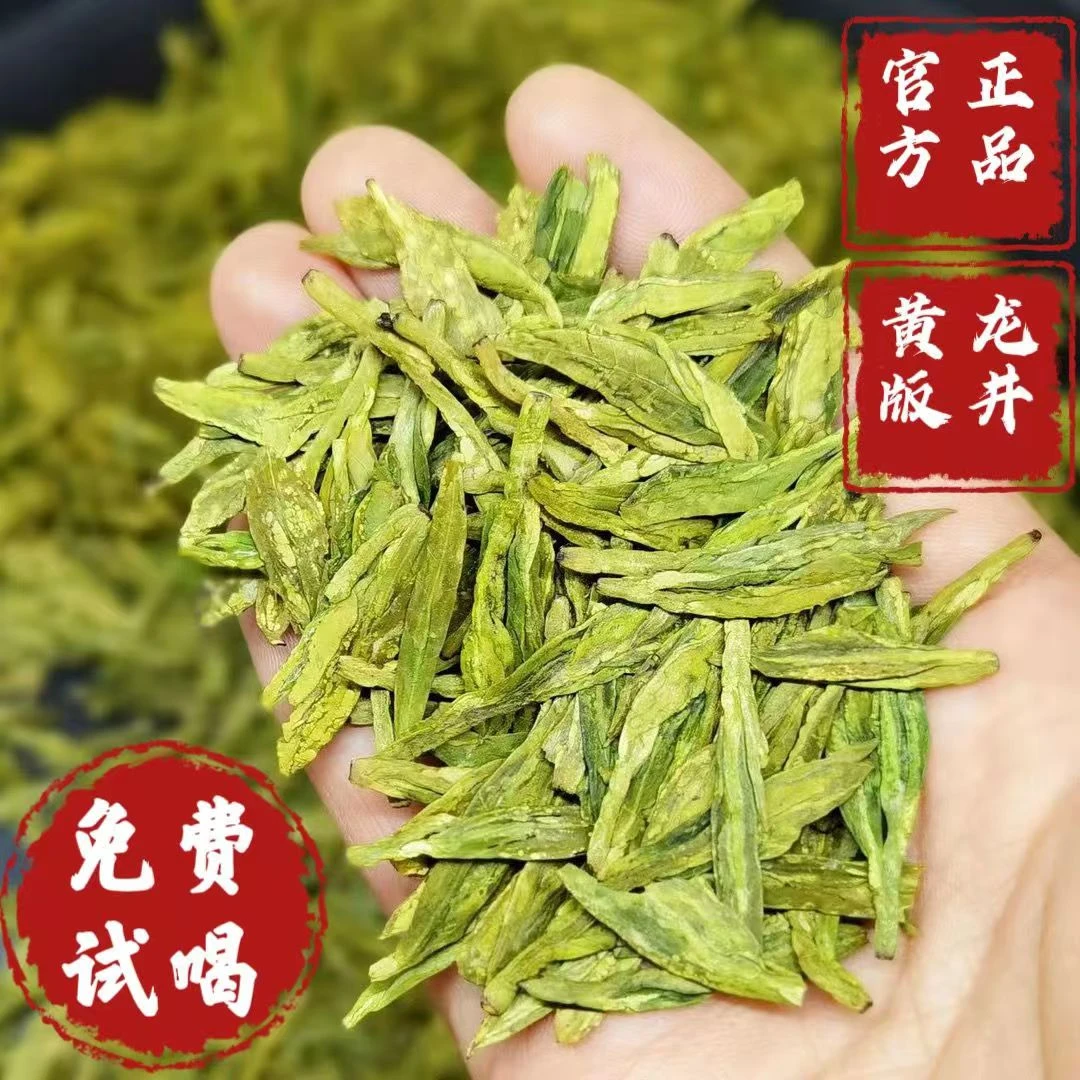 2025春茶龙井茶豆香型散装黄绿茶香浓郁罐装新茶茶叶L260