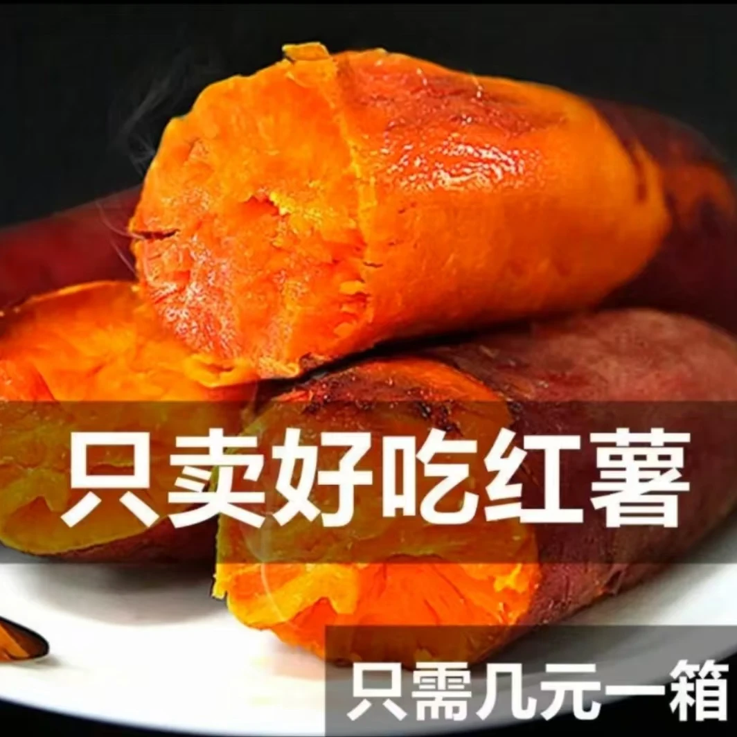 【新人福利】沙地西瓜红蜜薯5斤/9斤产地直发烤地瓜番薯糖心好美味