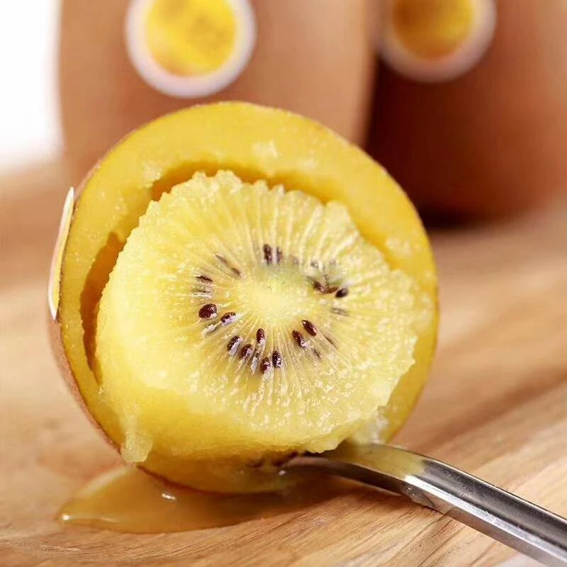 四川蒲江黄心金奇异果产地直发香甜多汁当季奇异果水果现摘现发