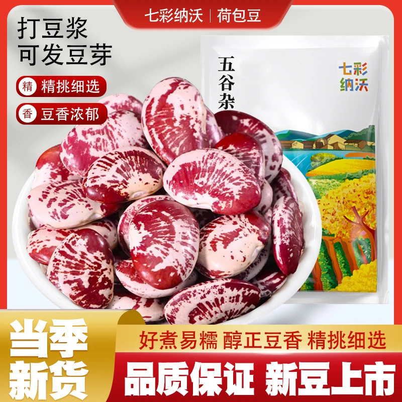 荷包豆大肾豆新货五谷杂粮云南农家自种大芸豆状元豆花腰豆子粗粮