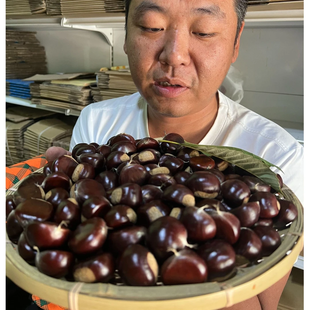 【大果】迁西板栗生板栗油栗子京东板栗燕山板栗老树板栗3/5/10斤