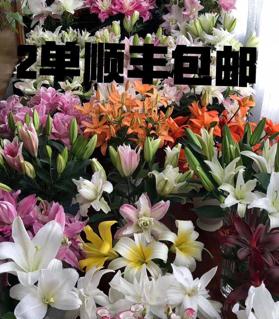漂亮鲜花 2单顺丰包邮 玫瑰百合