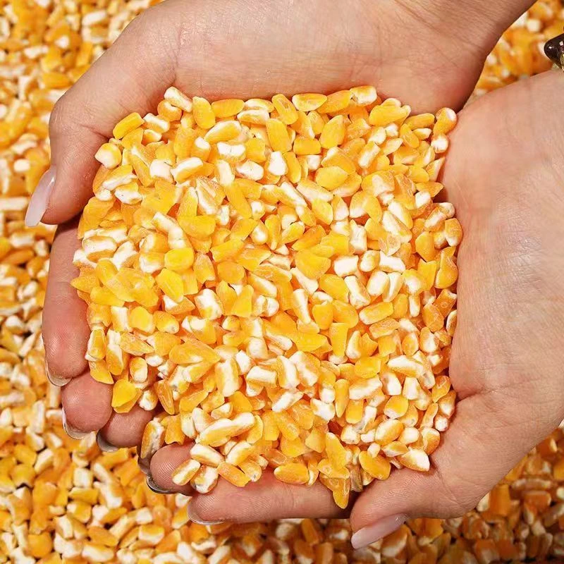 东北糯大碴子农家自产玉米碴子大粒玉米糁粗新货5斤