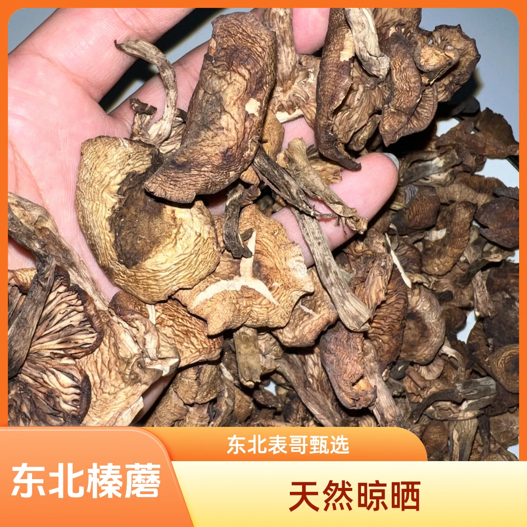 东北特产 长白山野生 榛蘑 蘑菇炖鸡新货干净无杂质天然晾晒半斤