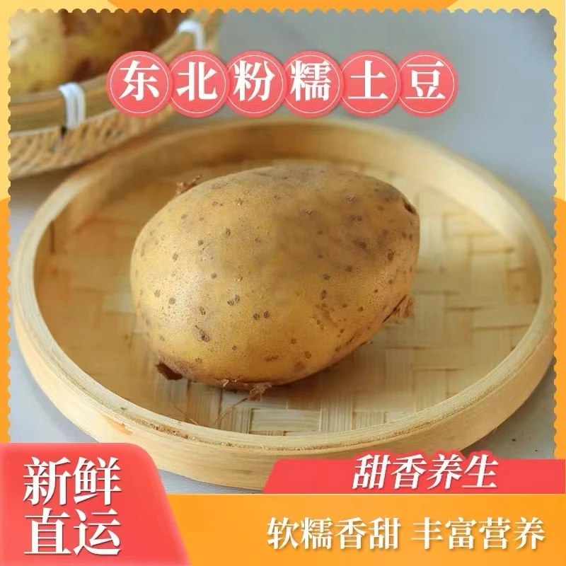 东北特产土豆 黄心土豆 黄肉土豆 新鲜 软糯香甜 新鲜起沙5斤