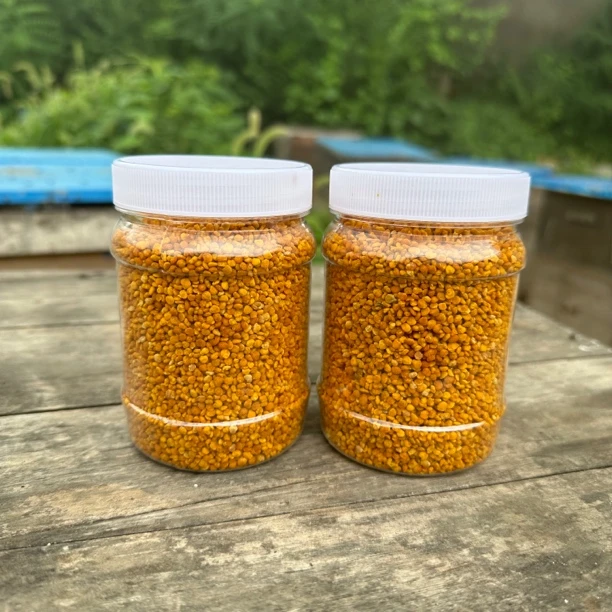 茶花粉可做茶花粉蜜可泡水干吃（买二斤送半斤）