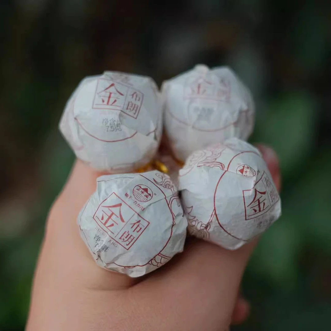 2024金布朗熟茶龙珠125克/盒 板栗香糯香焦糖香
