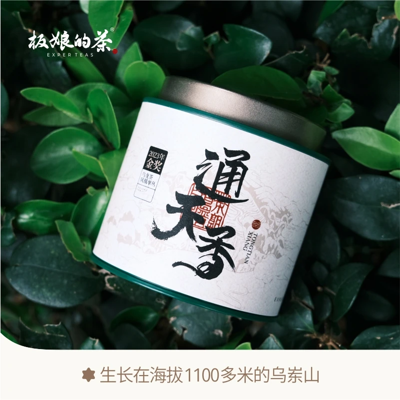 板娘的茶2023年金奖乌龙茶凤凰单枞通天香50g单丛茶叶