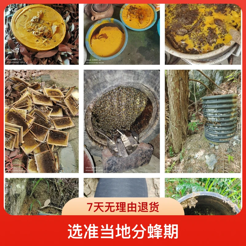 天然中蜂蜡野外诱蜂专用招蜂神器蜜蜂捕蜂养蜂养蜂工具中蜂专用