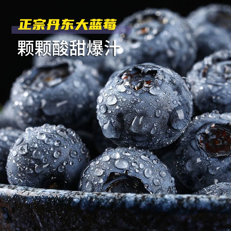 1斤顺丰每盒125克包邮丹东宝宝蓝莓L25脆甜可口大蓝莓