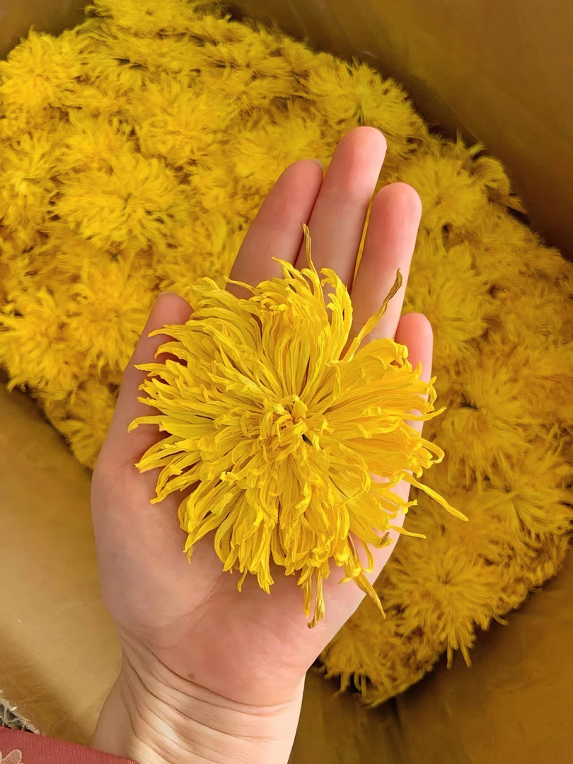 云南土特产（金丝黄菊）