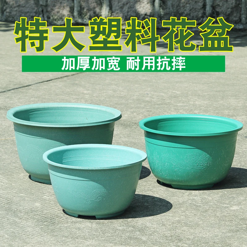 过新年大花盆户外塑料加厚大号码种果树盆庭院家用龙缸阳台种树橘