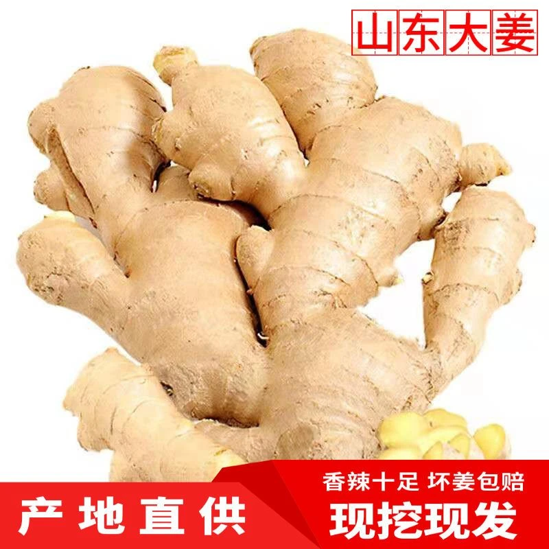 【坏果包赔】生姜小黄姜大姜干净无土晾干调味鲜姜生姜蔬菜大黄姜