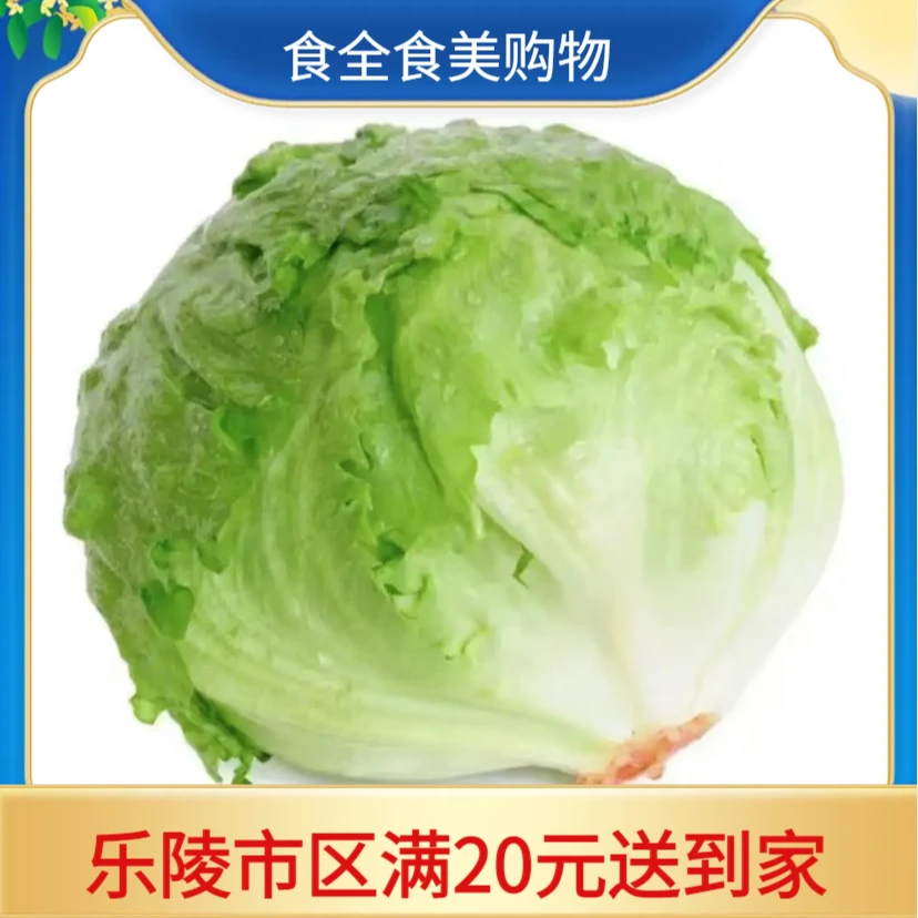 精选球生菜（1000g/份)