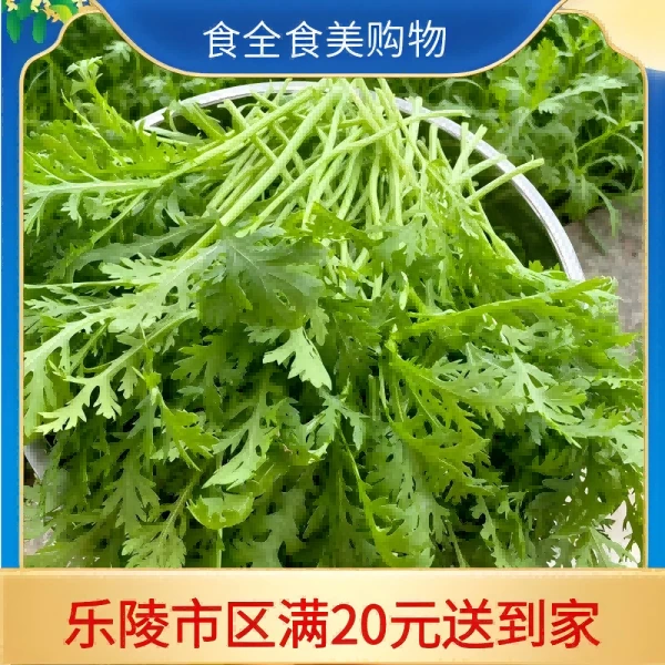 新鲜嫩茼蒿(250g/份)