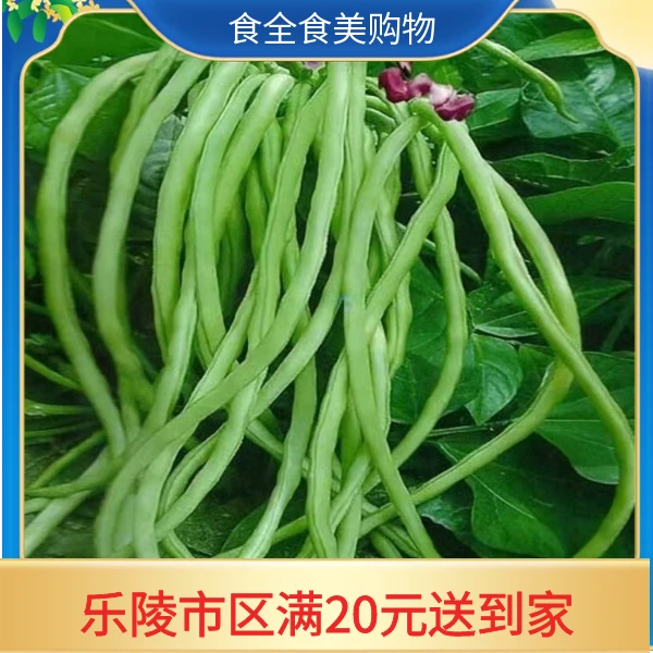新鲜现摘长豆角（500g/把）