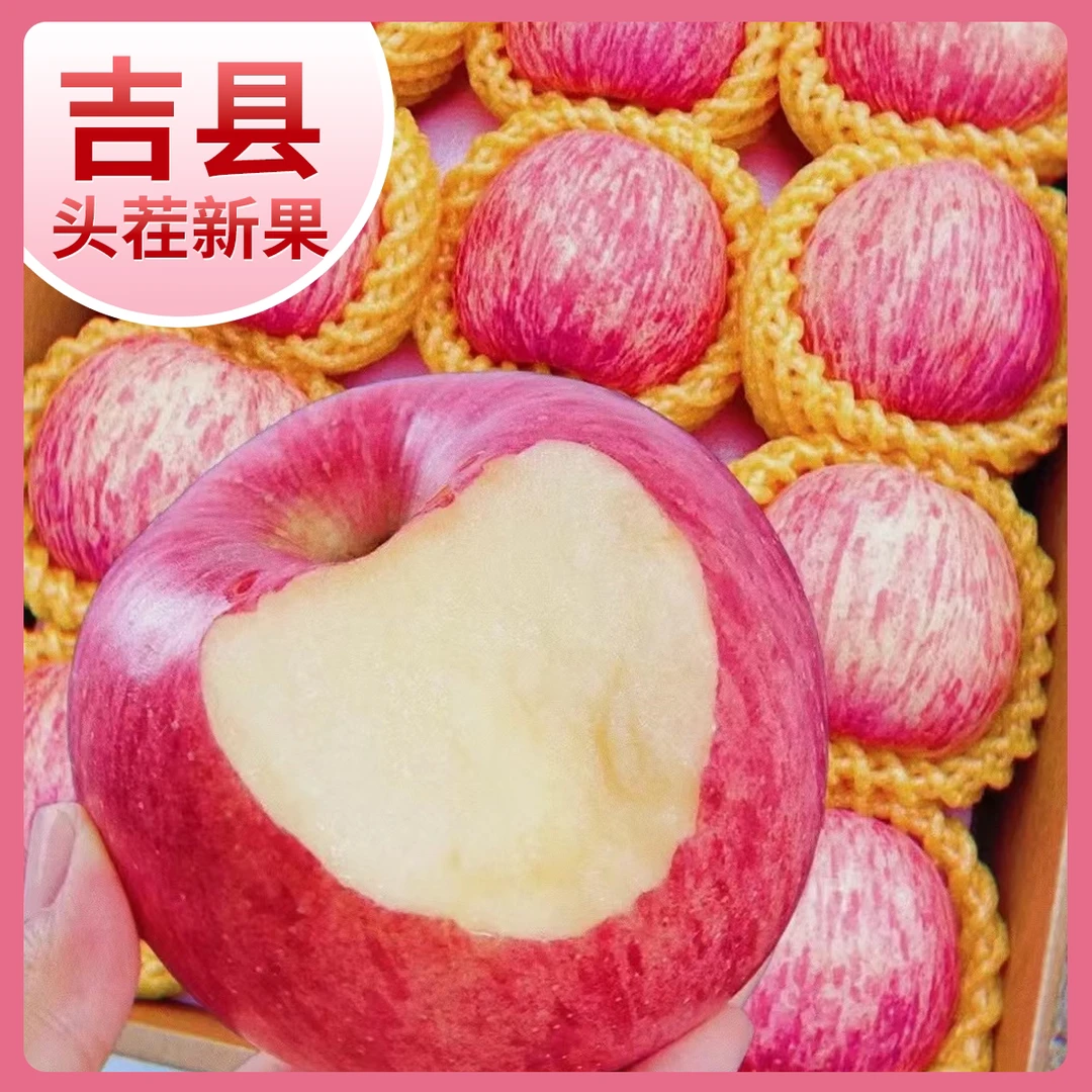吉县高原红富士皮薄高糖分苹果新鲜脆甜多汁应季水果5/10斤