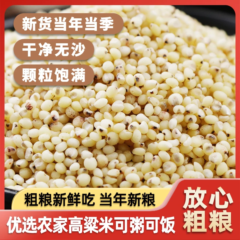 东北高粱米农家自产营养饱满东北粗粮五谷杂粮新米粘高粱米实惠