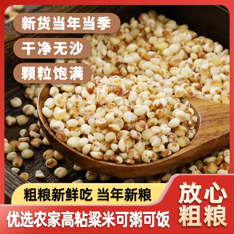 直播福利东北粘高粱米5斤粘糯酿酒红高粱熬粥饱满新货实惠新米