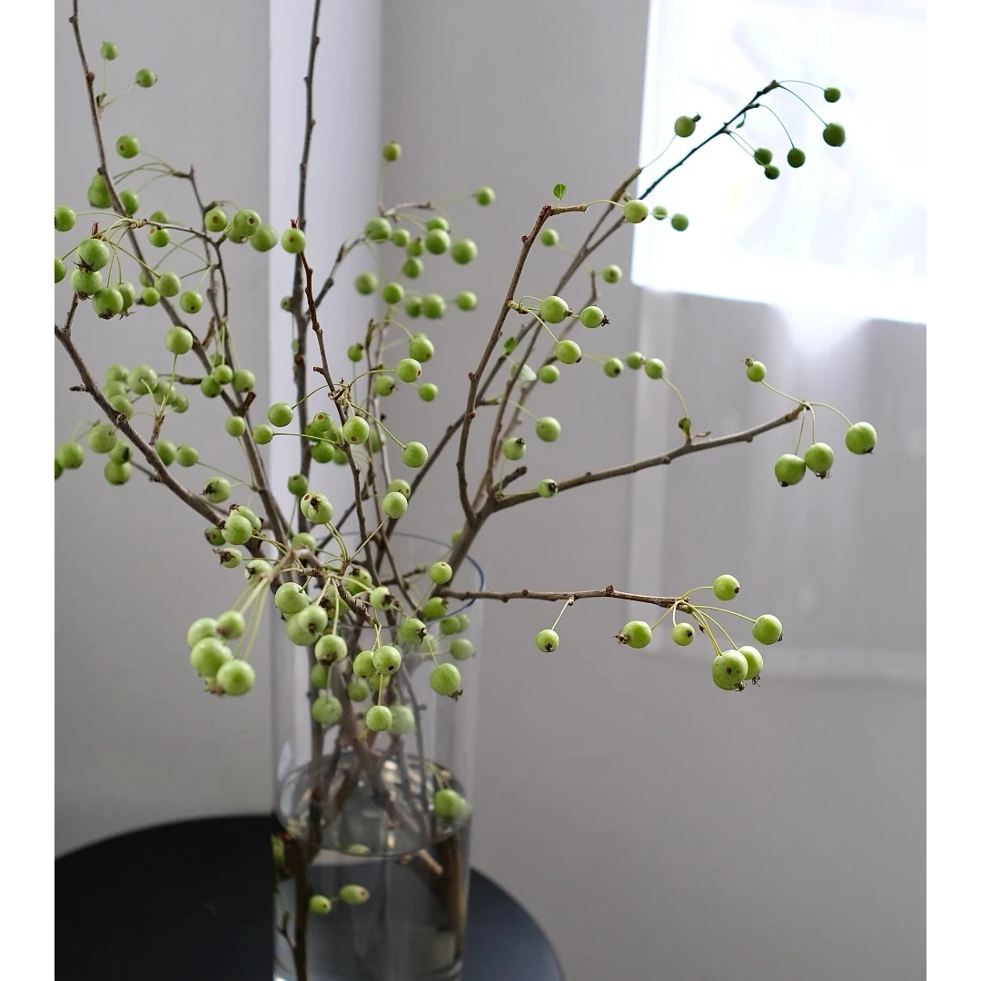 小众可爱中式美学海棠果小众水培鲜切花