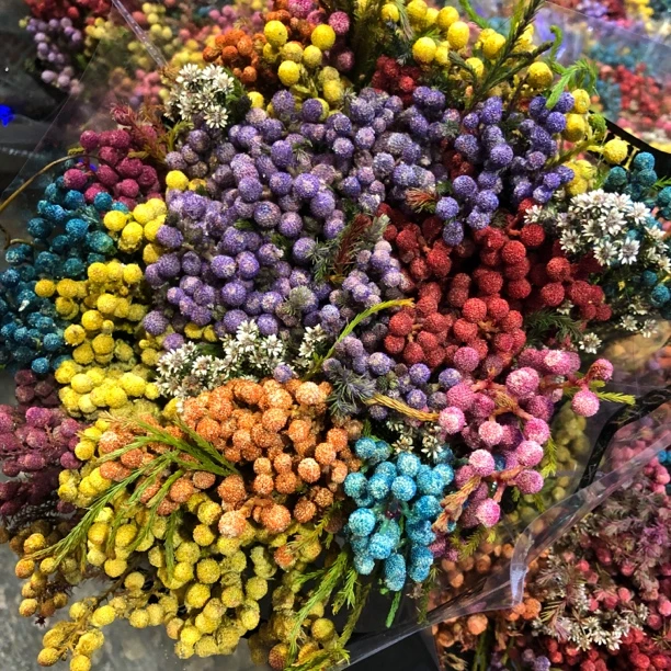 花椒果鲜切花鲜花花材包邮一把