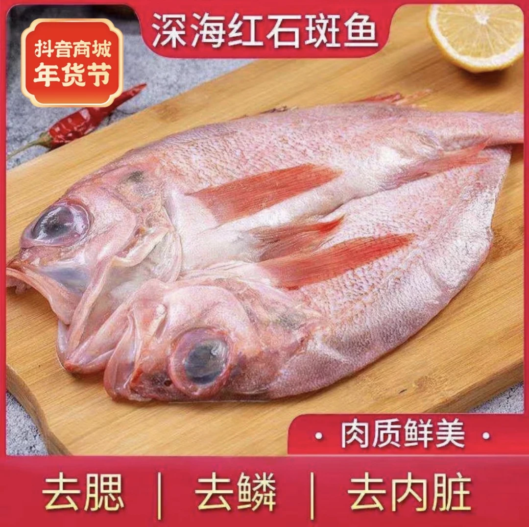 【韦大厨生鲜新疆包邮】精品大红石斑鱼600克/条