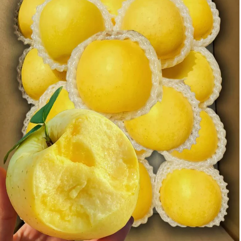 【正宗奶油苹果】山东烟台黄金富士脆甜丑冰糖心新鲜水果4.5斤包邮