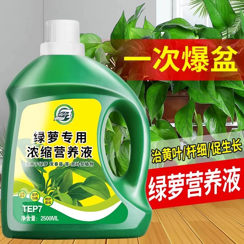 绿萝通用营养液肥料专用肥植物盆栽绿箩营业液花肥料土水培养花用