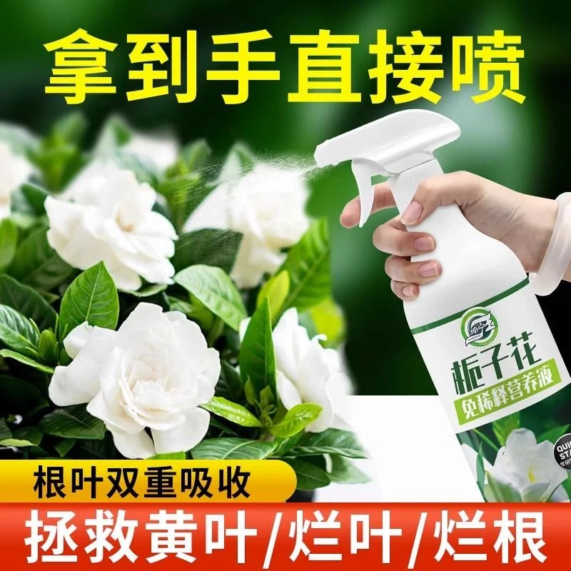 免稀释栀子花专用营养液肥料家用开花植物养花专用绿植盆栽通用型